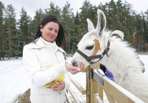 1lapa Lamas
