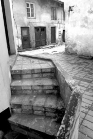 200804172331485769