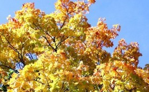 200809222322166824