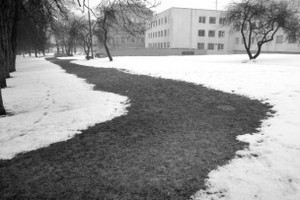 200901272031494219