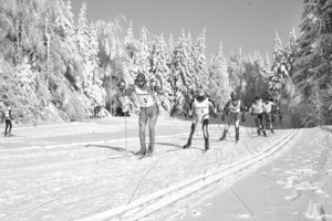 200902021615046488