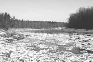 200902031729065594