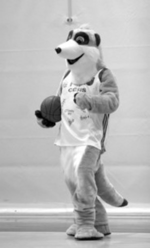 200902232130158699