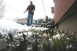 200903202224301329