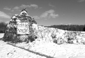 200903262154291642