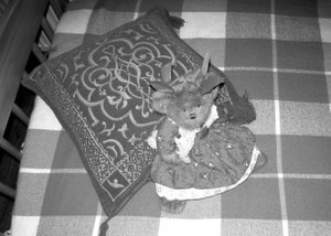 200903272216011755