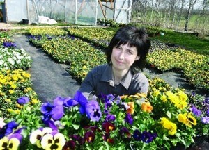 200904282200166656