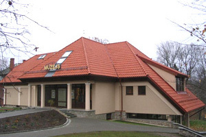 Jauna
