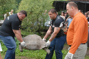 Zoo Rupucisver