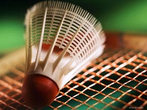 Badminton 6