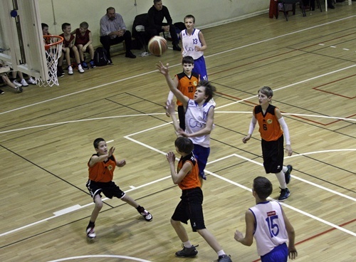 Baskets Cesukauss