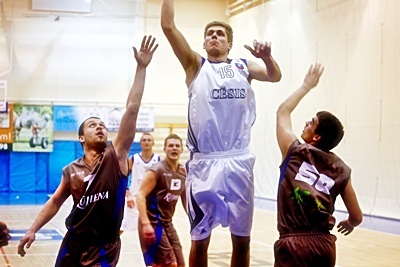 Darznieks