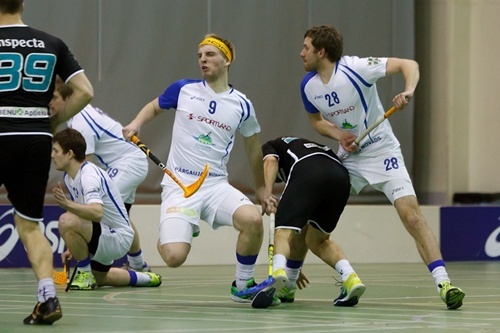 Pargauja Rtu1