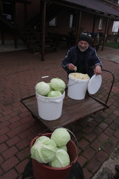 Kaposti