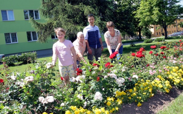 Rozes Daudzdzovoklennu Pagalmos