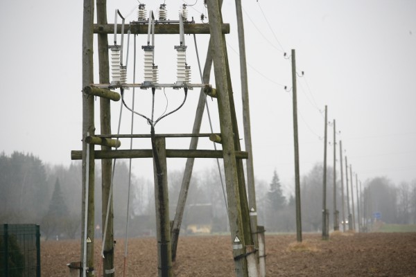 Elektrotirgus Mg 8244