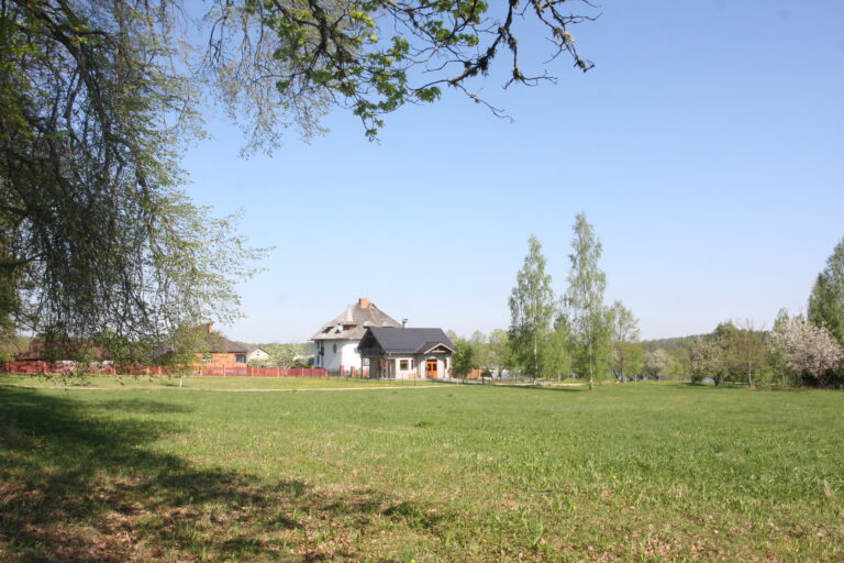 Img 1751 1