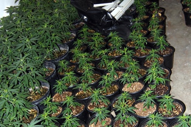 1 20120626215738517 1