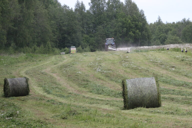 Img 7438 1