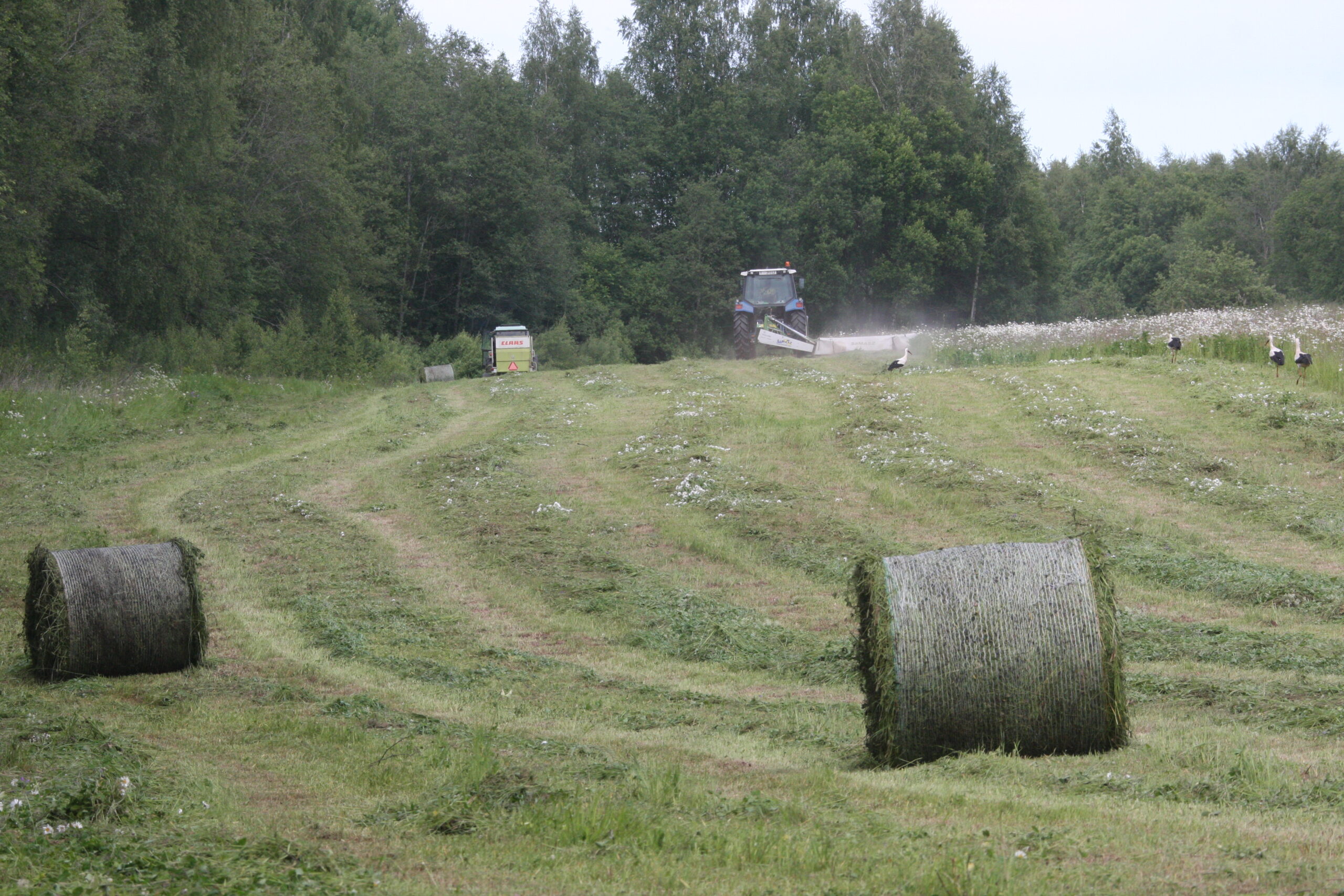 Img 7438 1