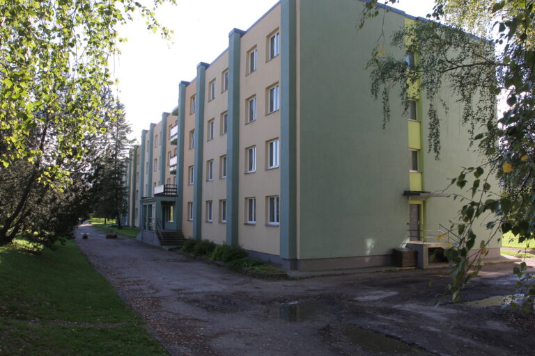 Img 1033 1
