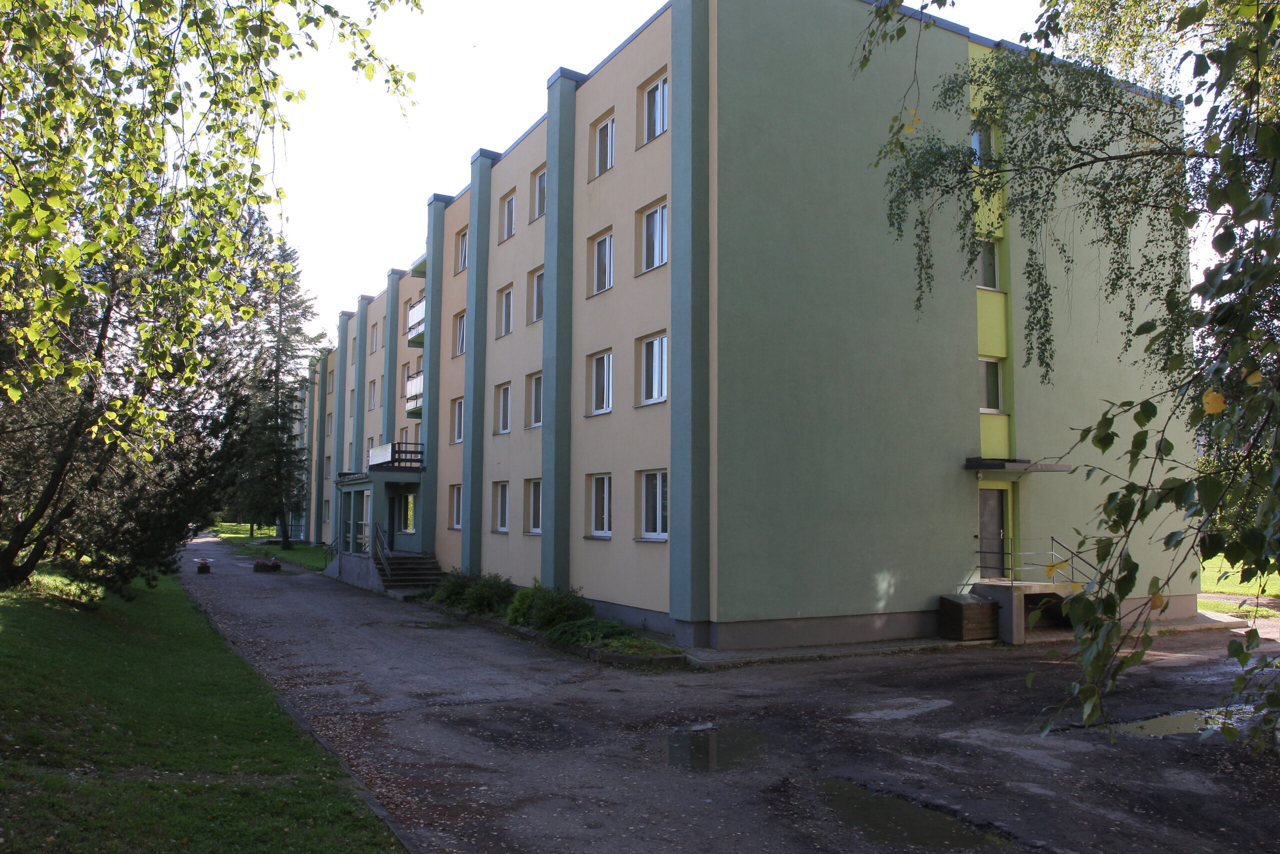 Img 1033 1