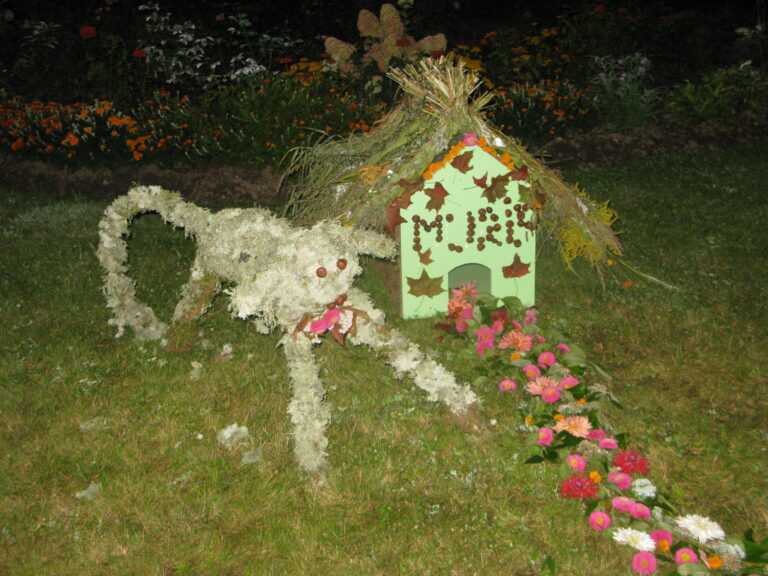 Img 4949 1