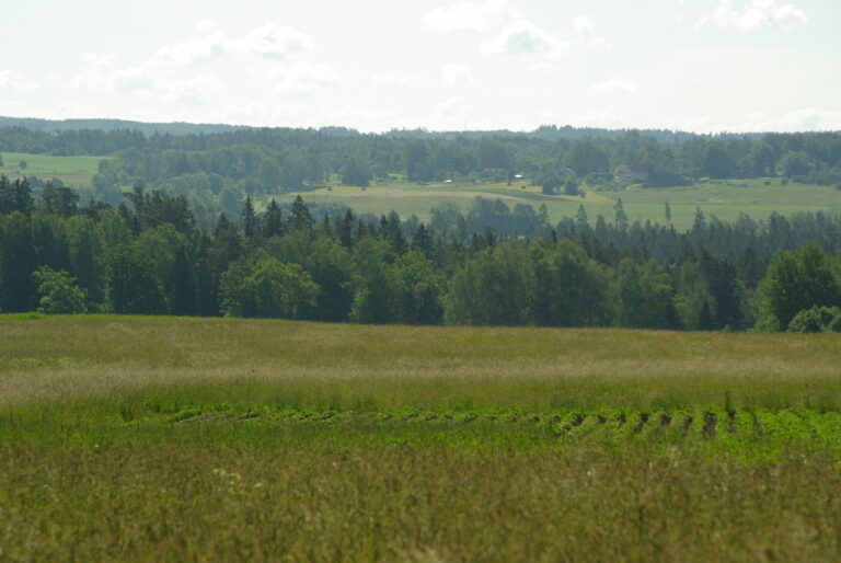 Imgp8866 1