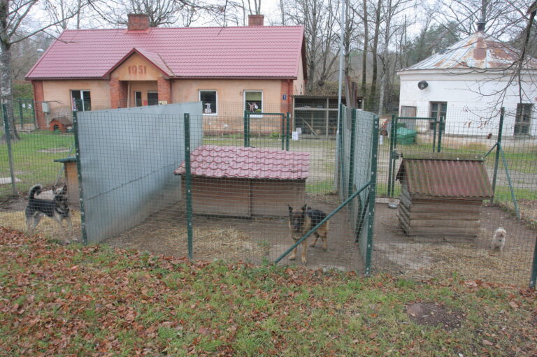Img 7516 1
