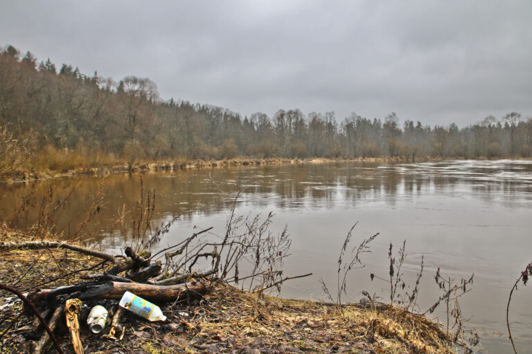 Gauja 1