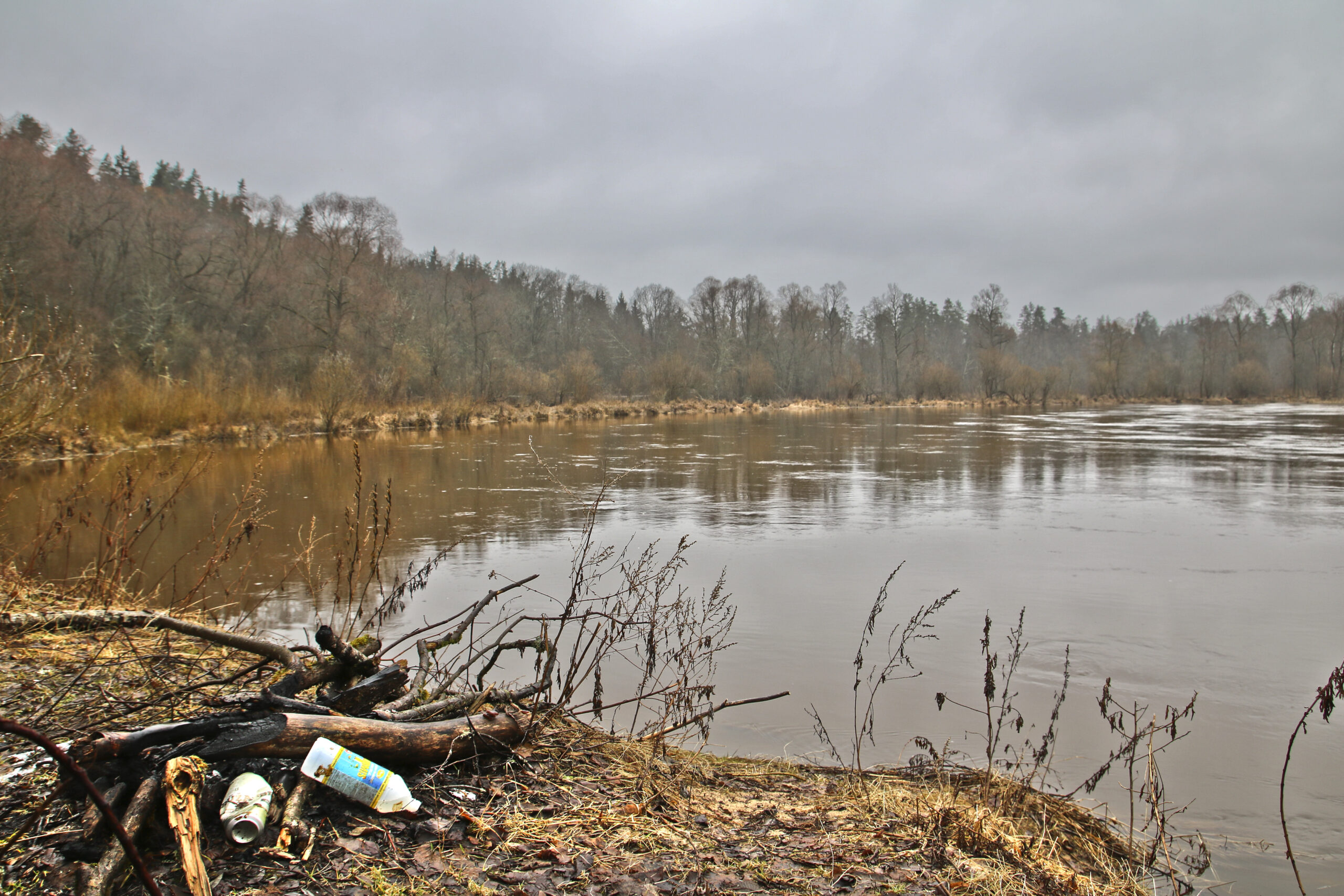 Gauja 1