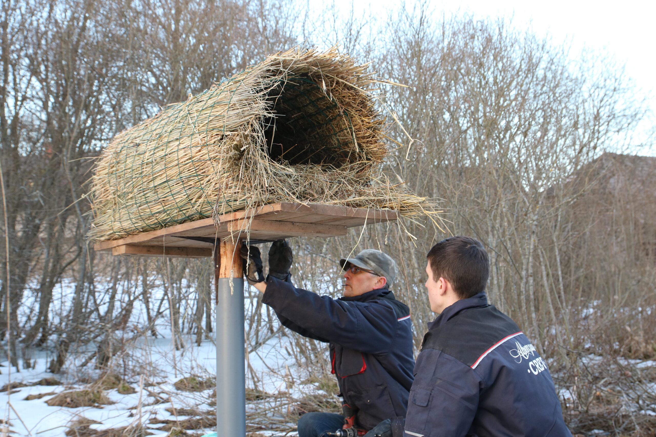 Piles Ligzda 3 1