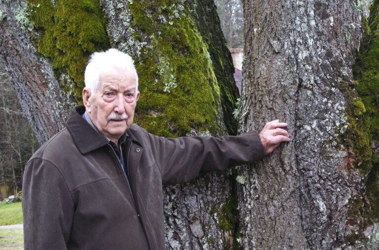 Peteris Steinbergs 1