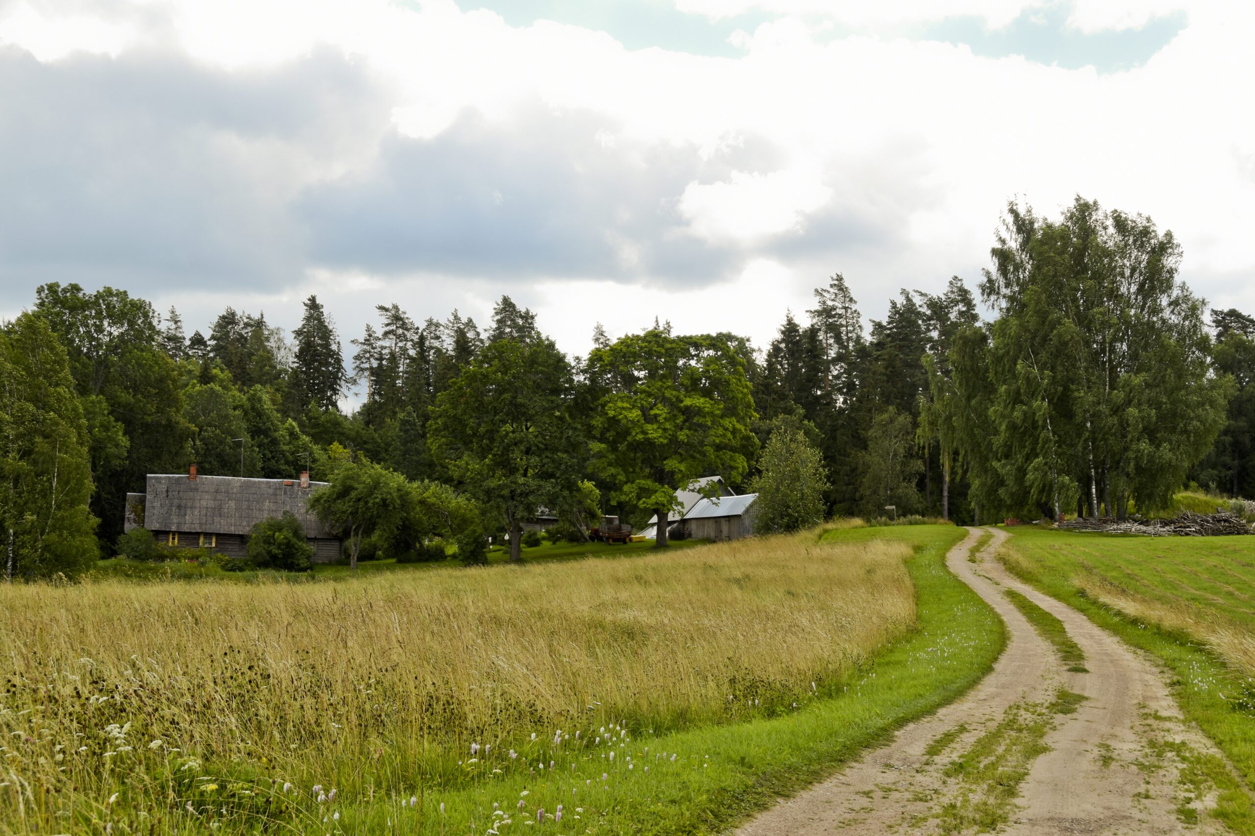 Vienseta Indarsfoto