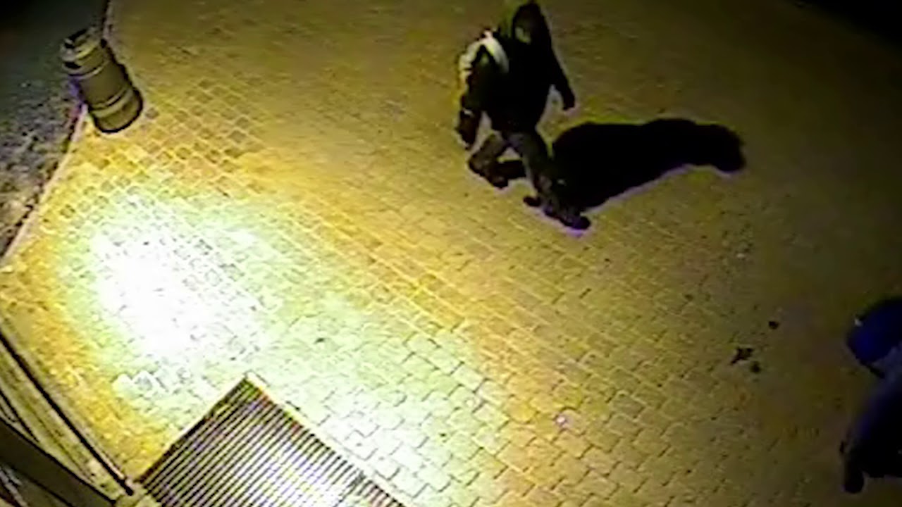 L Dz Atpaz T Hulig Nus Valmier 1 1