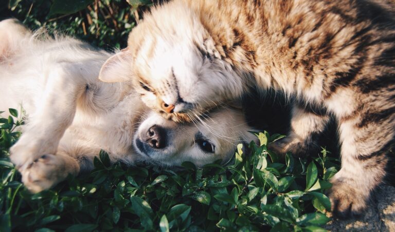 Friends 1