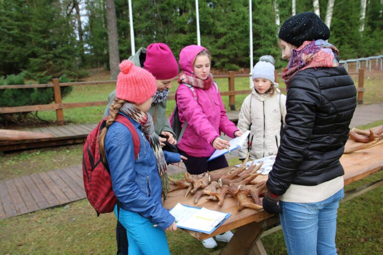 Straupes Pamatsk Ligatne Foto Leglite