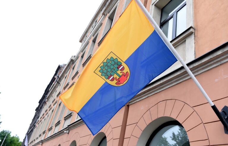 Parstavnieciba 1