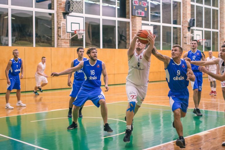 Darznieks Baskets 1