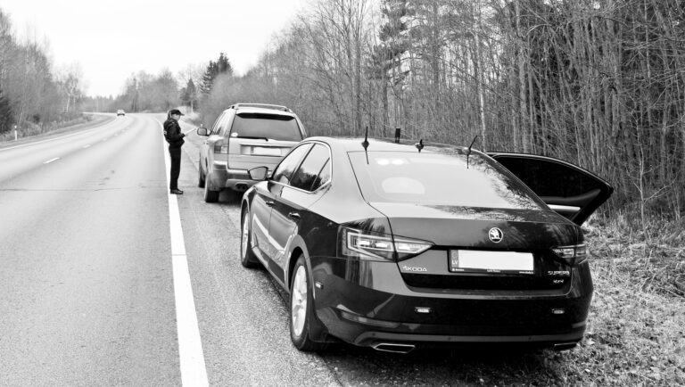 Policija Cels 1