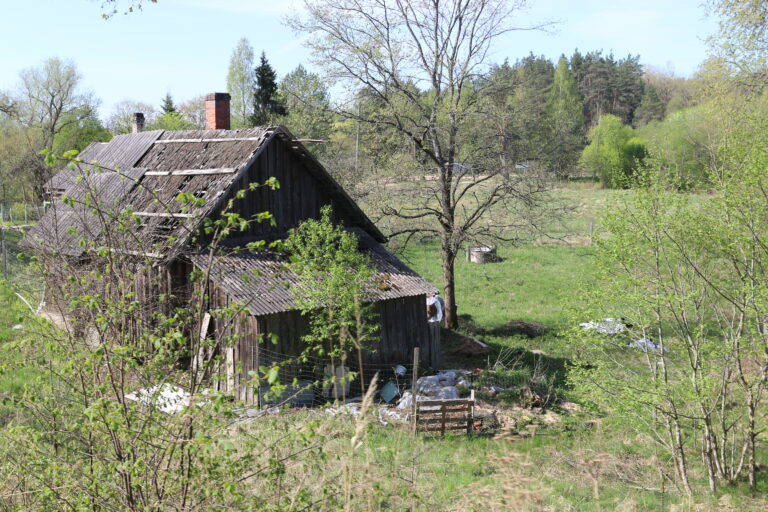 Img 3885 1