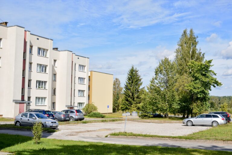 Stavlaukums Indarsfoto 1