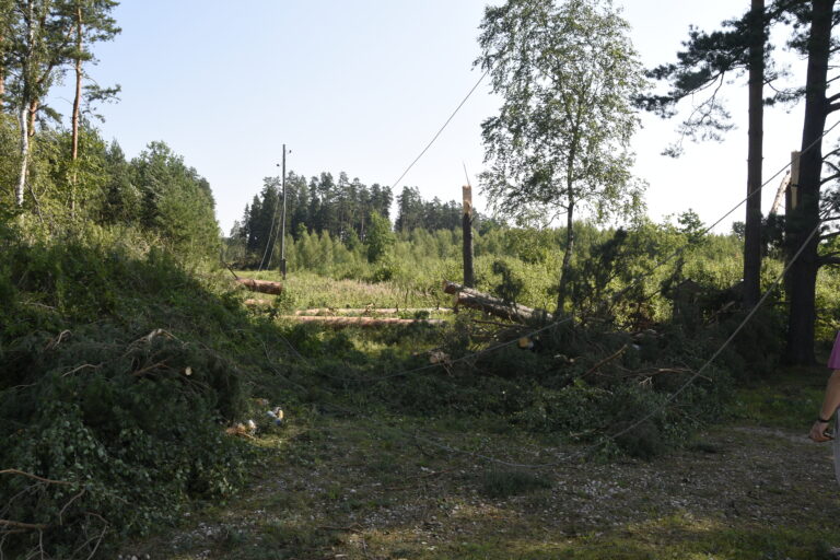 Vetrastraupe Indarsfoto 3