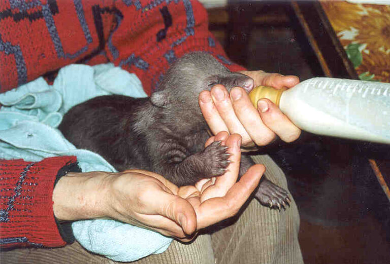 Ilzite 2001 Divu Menesu Vecuma Foto L.eglite 1