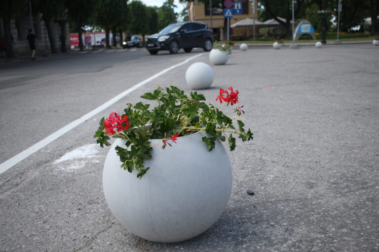 Aplii Fotomarta 2 1