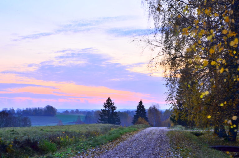 Rudens1 1