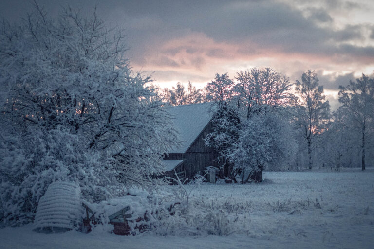 Ziemas Skats Fotomarta 2 1
