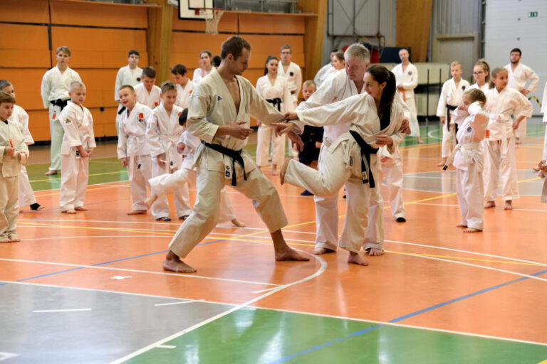 Karate 1