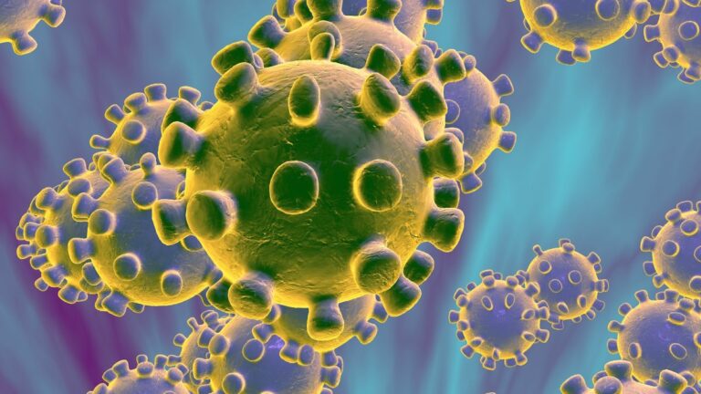 Https Cdn.cnn .com Cnnnext Dam Assets 200108214800 Coronavirus 1