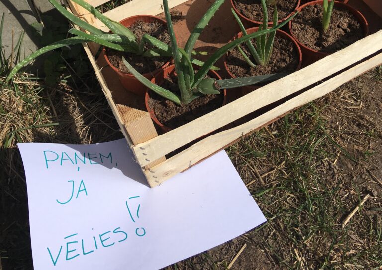 Garamejot Alveja 1